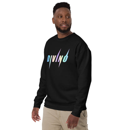 Divino multi-colored Sweatshirt